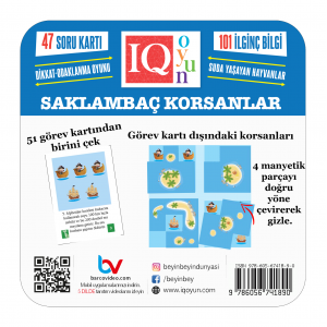 Beyin Bey'in Saklambaç Korsanlar